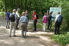 Dritte-Wanderung-2024-04
