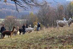 Siebente-Wanderung-2025_08