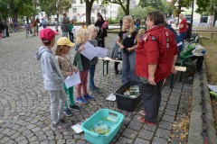 Spielfest_23__012