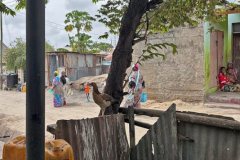 Tansania-2026-02-02_03