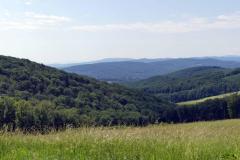 Vierte-Wanderung-2024-01