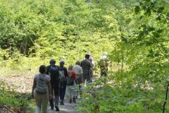 Vierte-Wanderung-2024-04