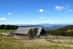 wallfahrt_2026_007