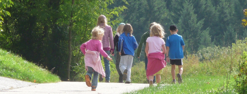 Kinder, die auf einer Forststraße laufen