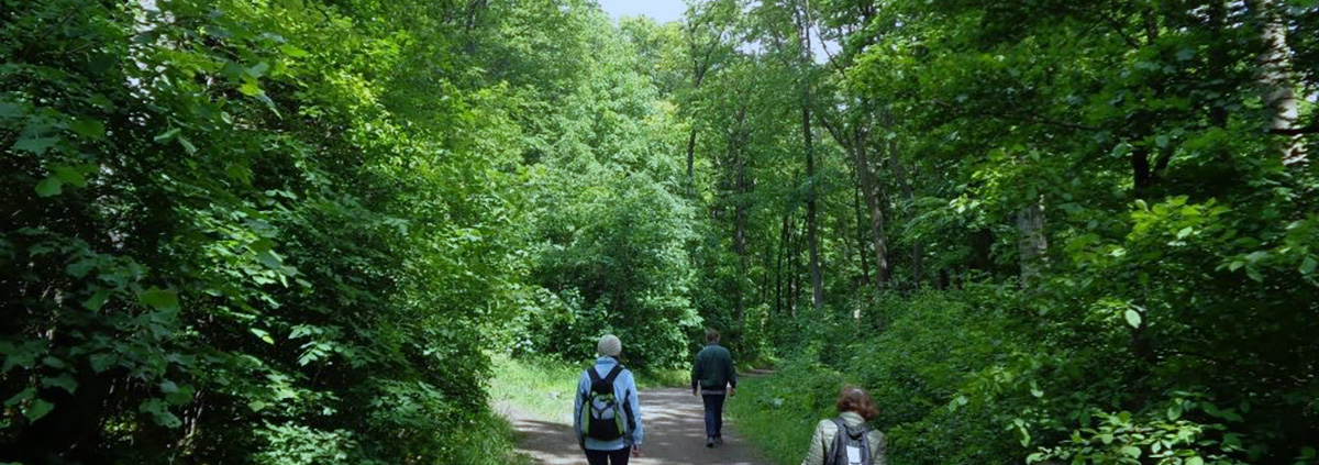 Einige Wanderer auf einem Waldweg beim Maurer Berg