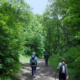 Einige Wanderer auf einem Waldweg beim Maurer Berg