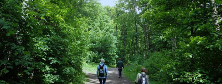 Einige Wanderer auf einem Waldweg beim Maurer Berg