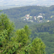 Blick über die Bäume ins Land hinein
