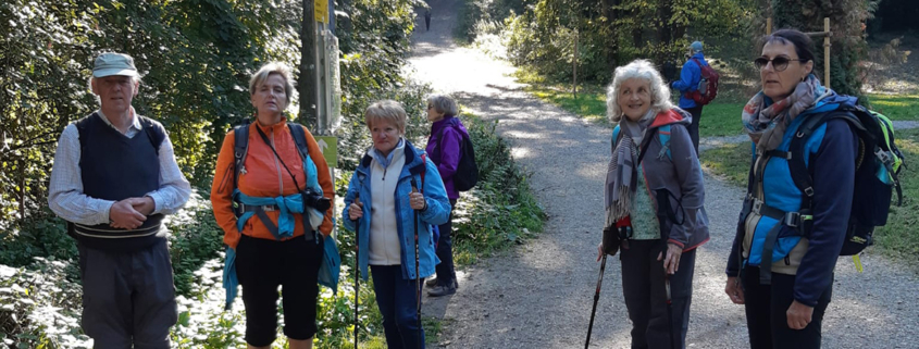 Die Wandergruppe der sechsten Wanderung 2021 an einer Weggabelung