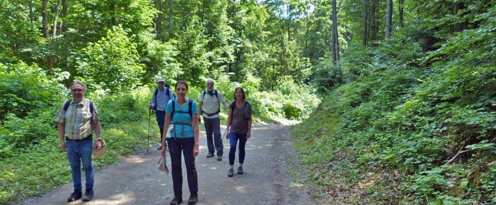 Die Wandergruppe der vierten Wanderung 2022