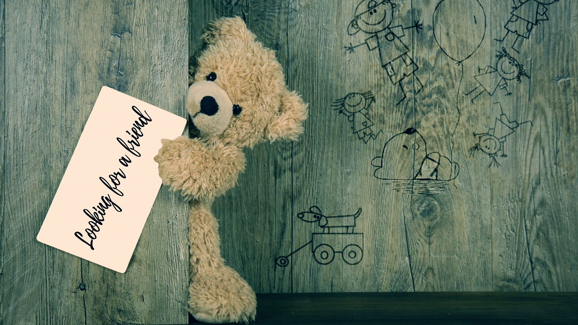 Ein Teddybärmit einem Schild "Looking for a Friend"