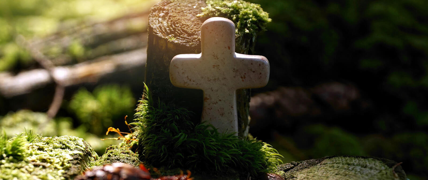 Ein kleines Kreuz vor einem Baumstumpf