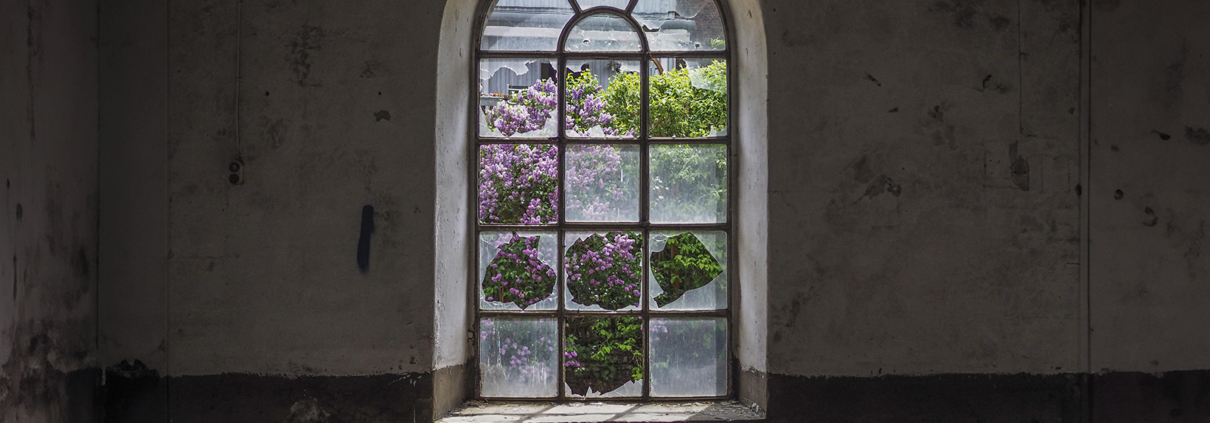 Ein altes zerbrochenes Rundbogenfenster mit Blick hinaus in einen verwilderten Garten