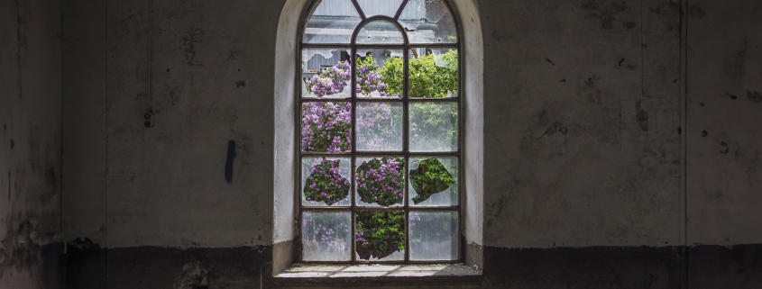 Ein altes zerbrochenes Rundbogenfenster mit Blick hinaus in einen verwilderten Garten