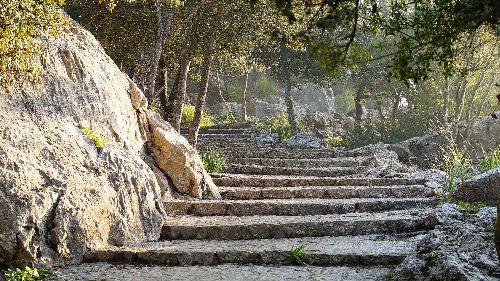 Ein steinerner Pfad mit Stufen, der durch einen Wald führt