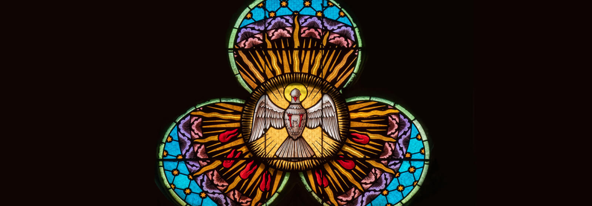 Ein Kirchenfenster in Blütenform, das den Heiligen Geist als Taube zeigt