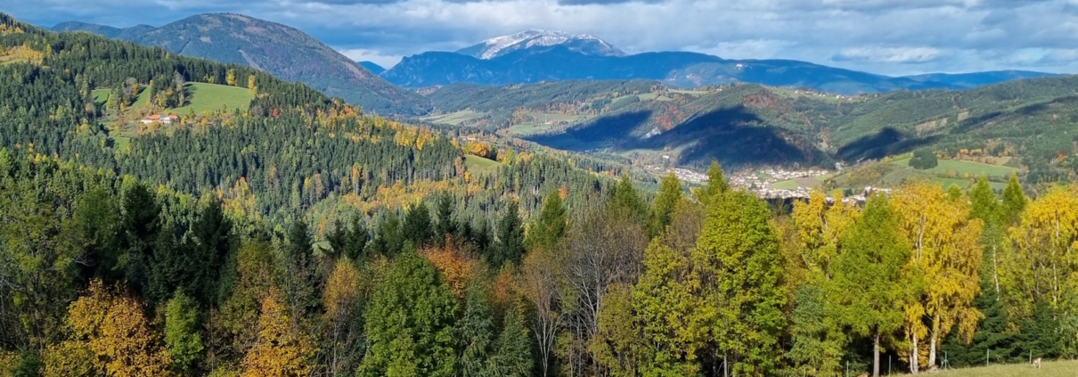 St. Corona am Wechsel