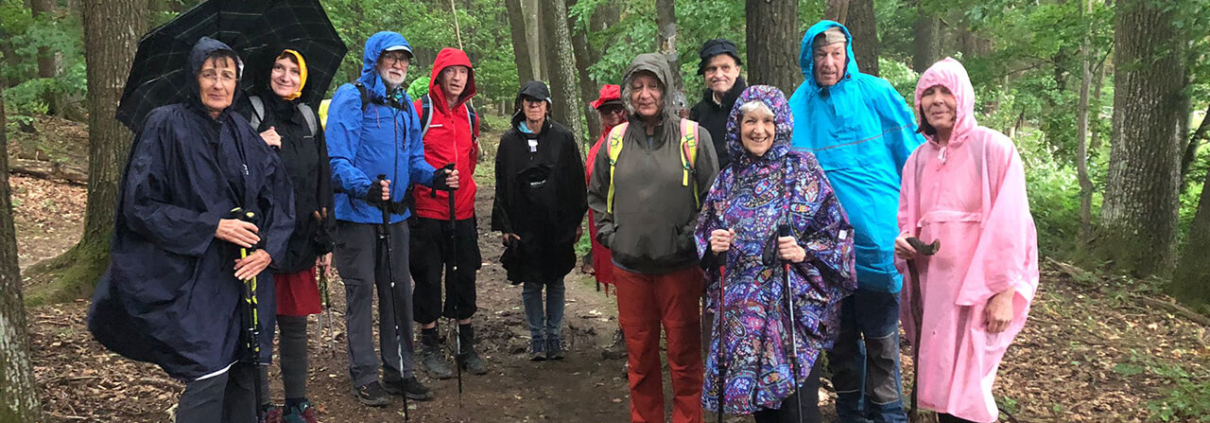 Die Wandergruppe der vierten Wanderung 2025