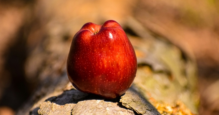 Versuchung von Laura Baker auf Unsplash